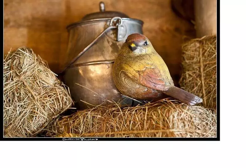 Hotelli Baita La Jolie Bergere