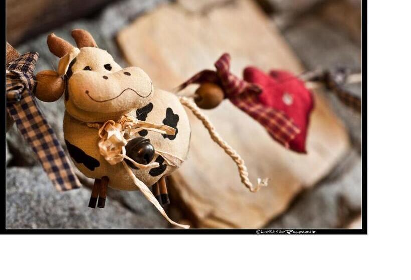 Отель Baita La Jolie Bergere