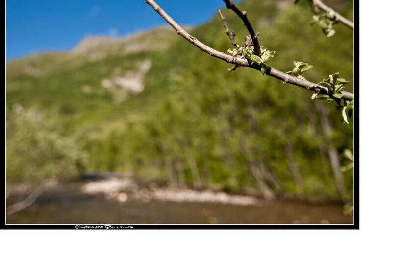 Отель Baita La Jolie Bergere