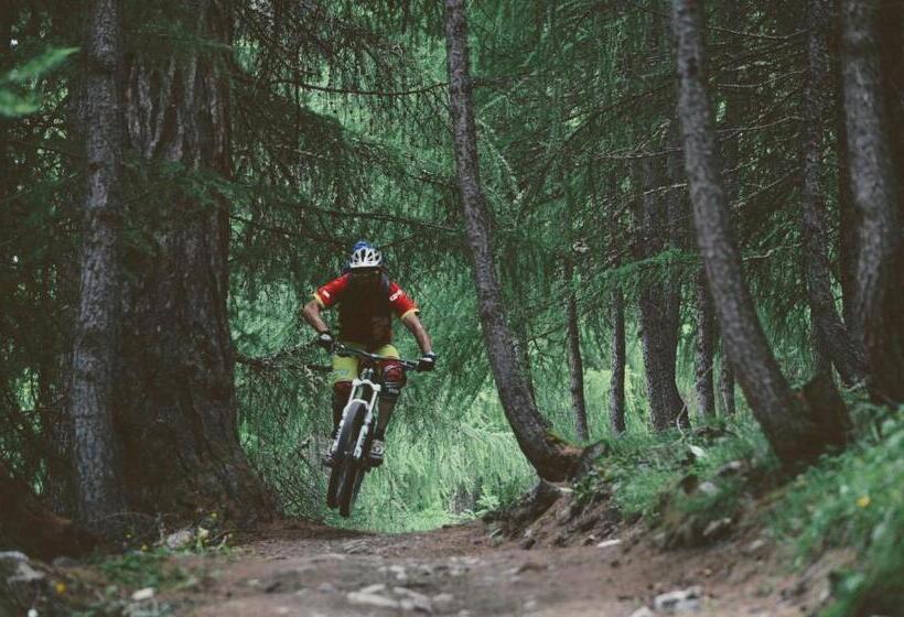 בית מלון כפרי Miramonti B&b Cucina&pizza