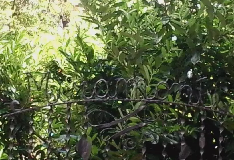 ホテル Miramonti B&b Cucina&pizza