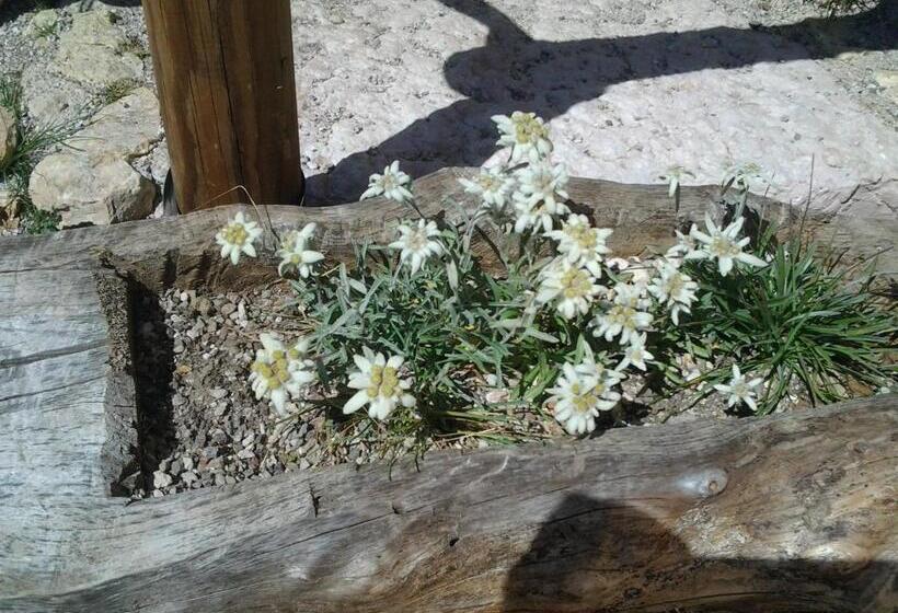 בית מלון כפרי Miramonti B&b Cucina&pizza