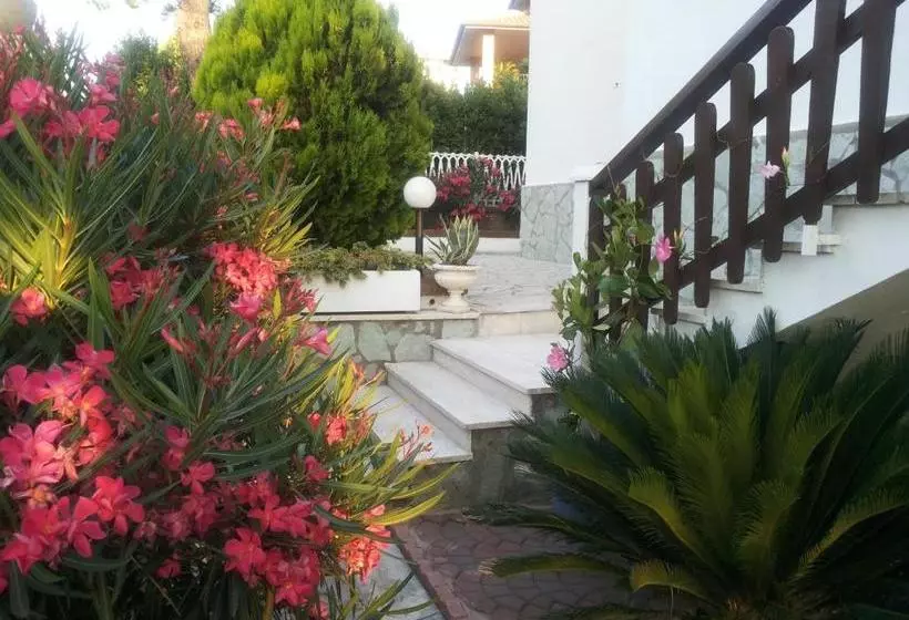 Villa Patrizia B&b