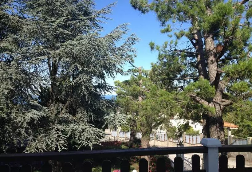 Villa Patrizia B&b