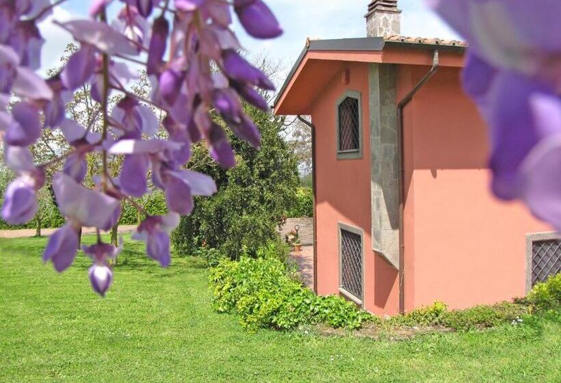 B&b Ai Glicini   Castelli Romani