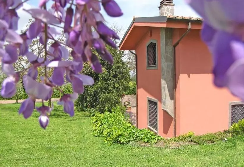 B&b Ai Glicini   Castelli Romani