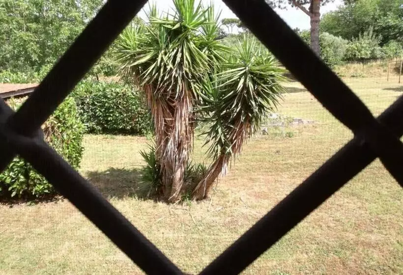 B&b Ai Glicini   Castelli Romani