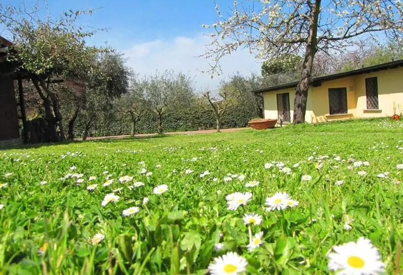 B&b Ai Glicini   Castelli Romani