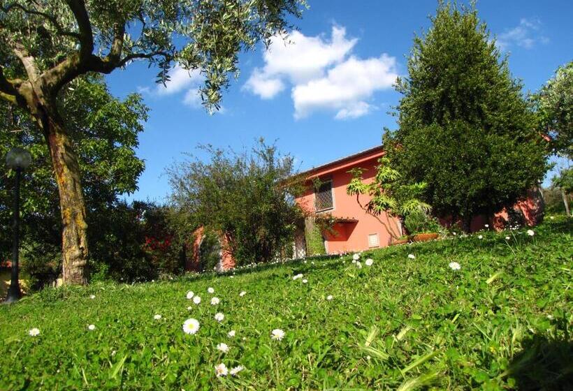 B&b Ai Glicini   Castelli Romani