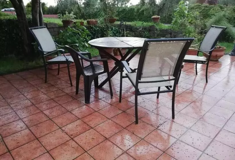 B&b Ai Glicini   Castelli Romani