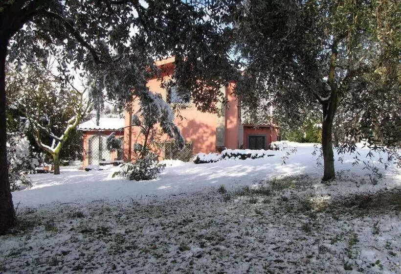 B&b Ai Glicini   Castelli Romani