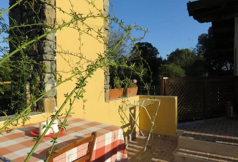 住宿加早餐  Agriturismo La Rosa Canina