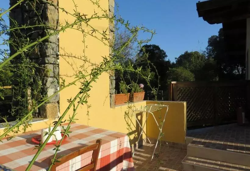 ベッドアンドブレックファースト Agriturismo La Rosa Canina