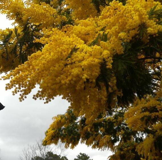 住宿加早餐  Agriturismo La Rosa Canina