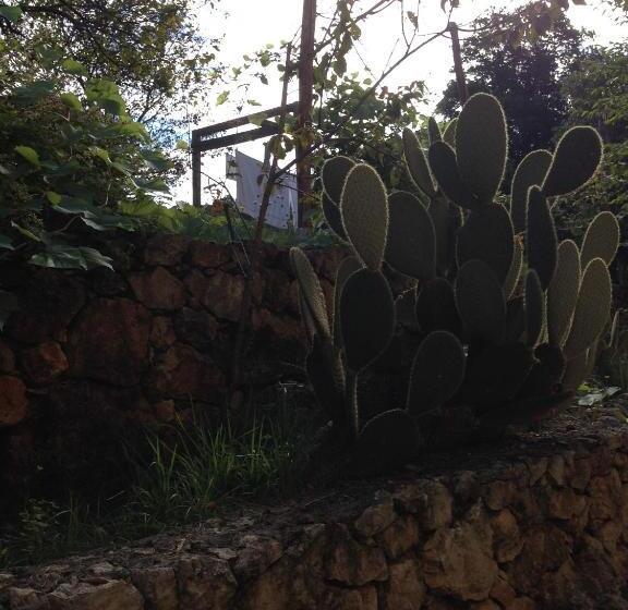 住宿加早餐  Agriturismo La Rosa Canina