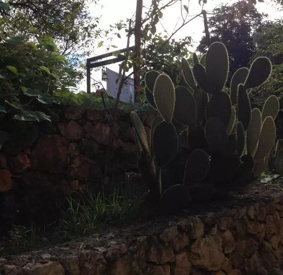 ベッドアンドブレックファースト Agriturismo La Rosa Canina