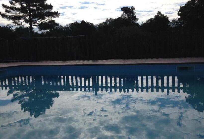 住宿加早餐  Agriturismo La Rosa Canina