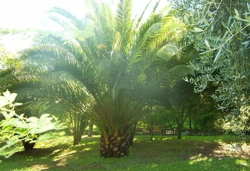 Aamiaismajoitus (B&B) La Vecchia Quercia