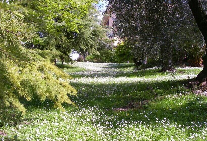 住宿加早餐  La Vecchia Quercia