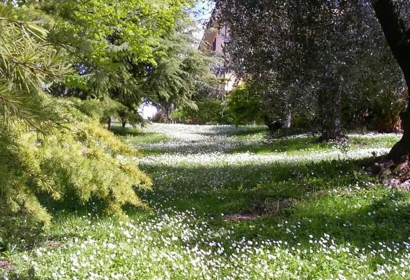 Aamiaismajoitus (B&B) La Vecchia Quercia