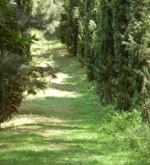 Aamiaismajoitus (B&B) La Vecchia Quercia