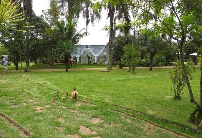 酒店 Fazenda Igarapés