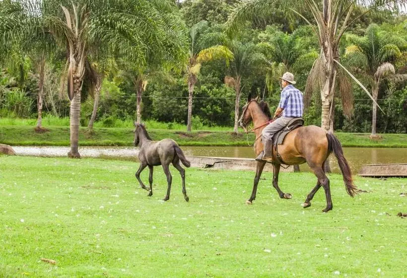 Hotelli Fazenda Igarapés