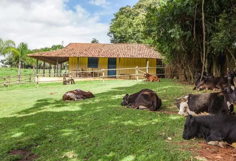 Hotelli Fazenda Igarapés