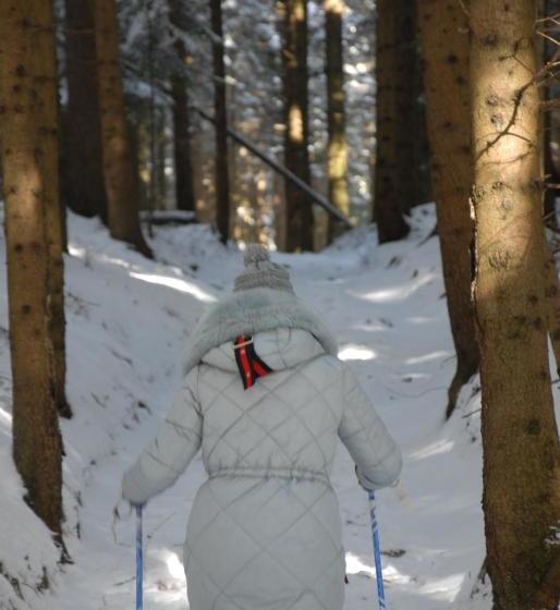 ホテル Gasthof Paunger