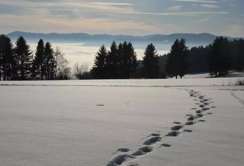 Hotelli Gasthof Paunger