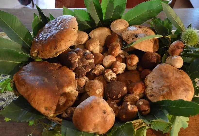 Hotelli Il Fondaccio