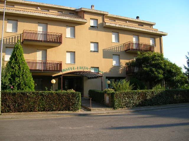 Отель Lieta Oasi