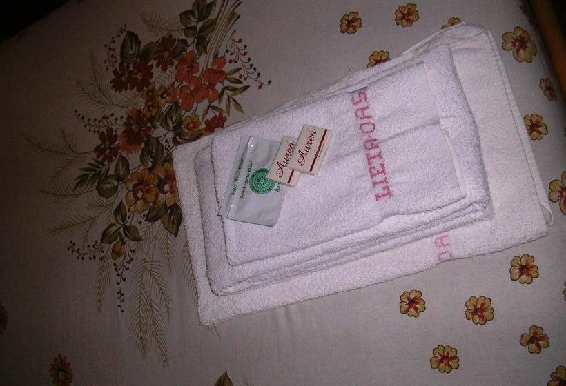 Отель Lieta Oasi