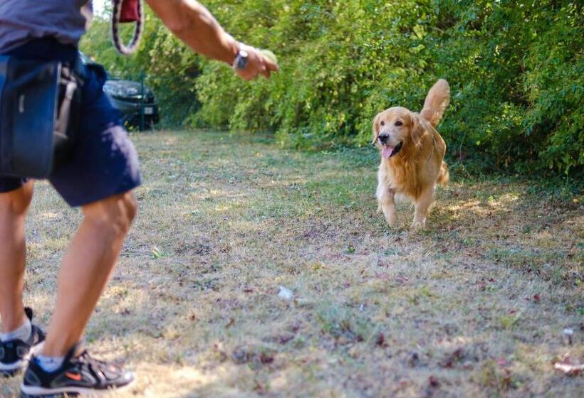 호텔 Ristorante Brusco