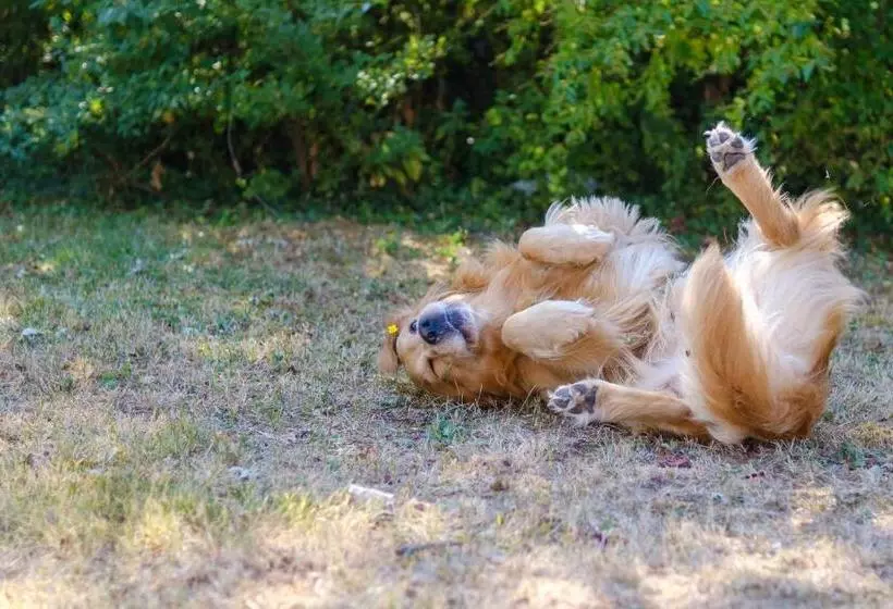 Hotelli Ristorante Brusco