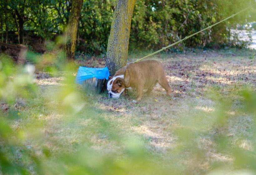 호텔 Ristorante Brusco