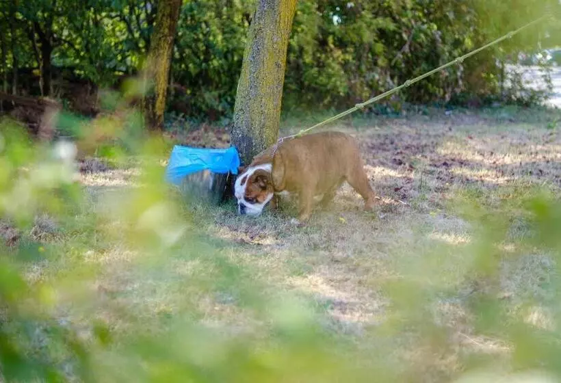 Hotelli Ristorante Brusco