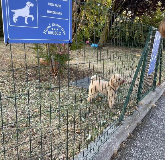 호텔 Ristorante Brusco