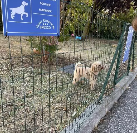 Hotelli Ristorante Brusco