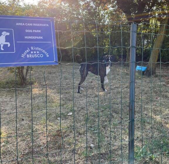 호텔 Ristorante Brusco