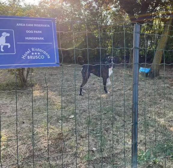 Hotelli Ristorante Brusco