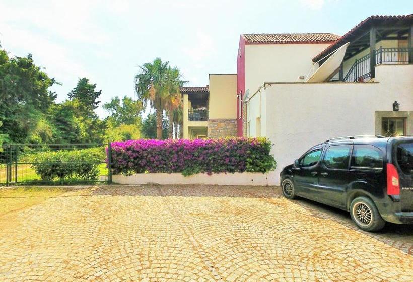 ホテル Tiana Beach Resort