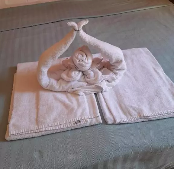 Aamiaismajoitus (B&B) Aziyz Camere