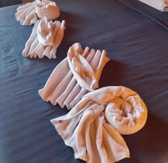 Aamiaismajoitus (B&B) Aziyz Camere