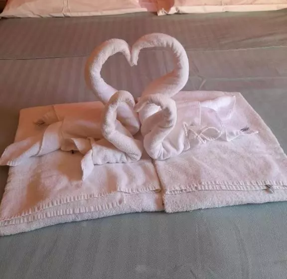 Aamiaismajoitus (B&B) Aziyz Camere