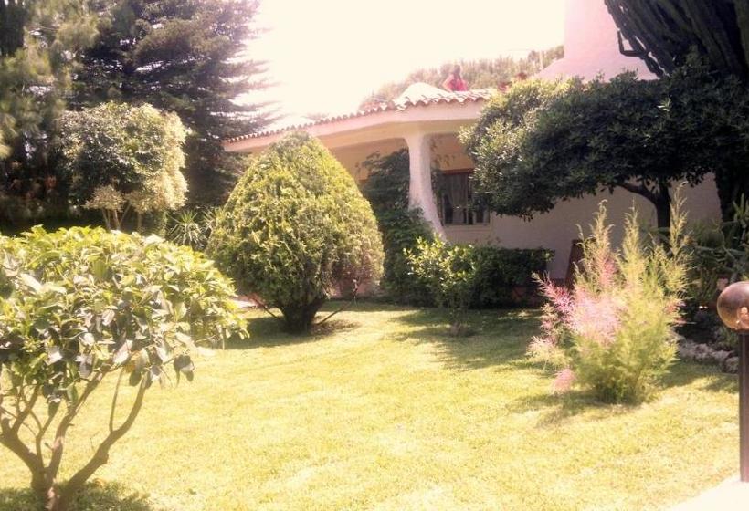 Bed and Breakfast Casa Surlamer