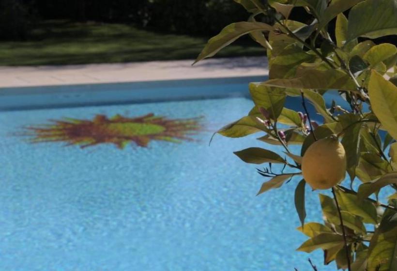 Bed and Breakfast Corte Delle Cicale