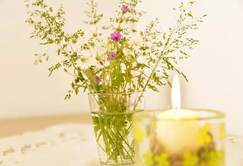 Aamiaismajoitus (B&B) Haus Lasaun