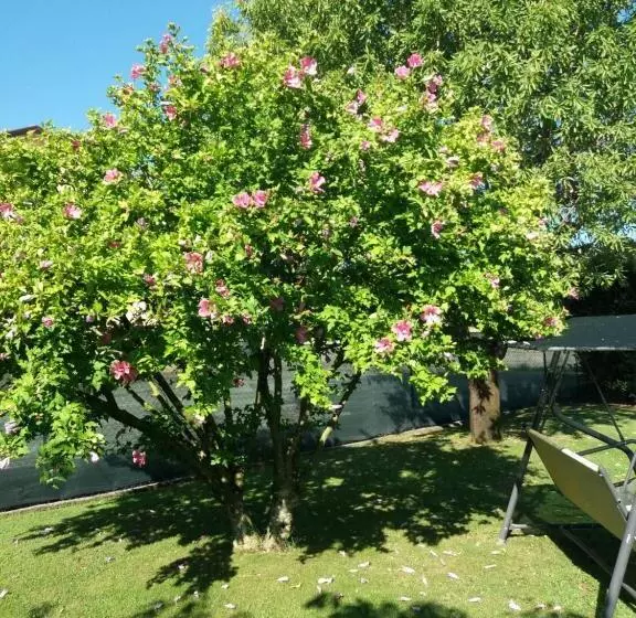 Aamiaismajoitus (B&B) Le Travi