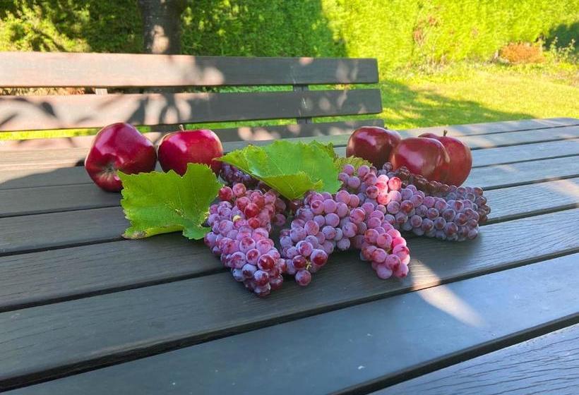 Bed and Breakfast Pension Rebgut